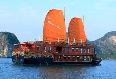 violet_cruise1.jpg